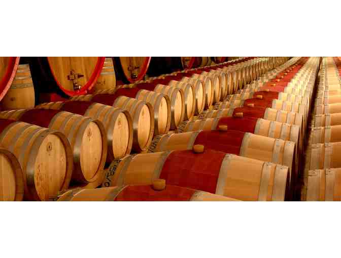 Pair of 3L Fantini Edizione Cinque Autoctoni - Italian Red Blend