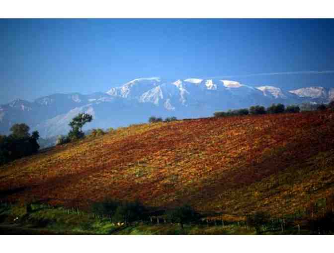 Pair of 3L Fantini Edizione Cinque Autoctoni - Italian Red Blend