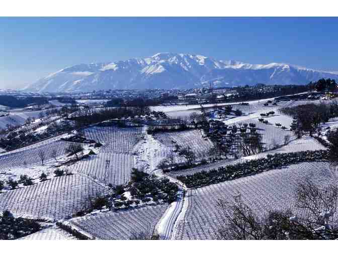 Pair of 3L Fantini Edizione Cinque Autoctoni - Italian Red Blend