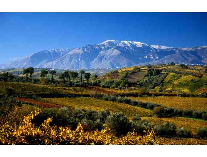 Pair of 3L Fantini Edizione Cinque Autoctoni - Italian Red Blend