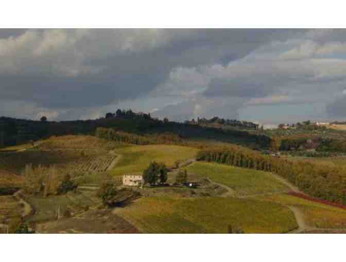 Tuscan Winery Treetop Dinner for 8 - Il Molino di Grace Winery