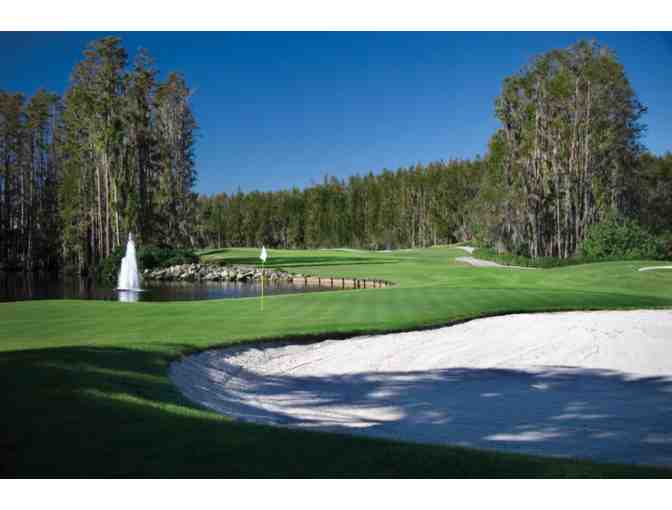 (2) Night Stay at The Saddlebrook Resort, Wesley Chapel, Florida