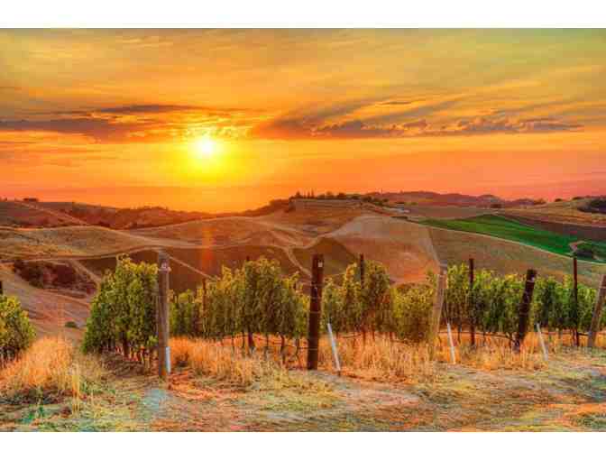 DAOU 2014 Soul of a Lion