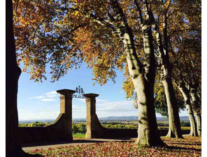 (1) Mixed Case of Chateau La Nerthe Chateauneuf du Pape