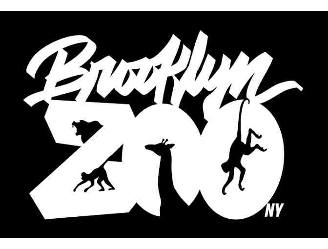 Parkour Experience at Brooklyn Zoo