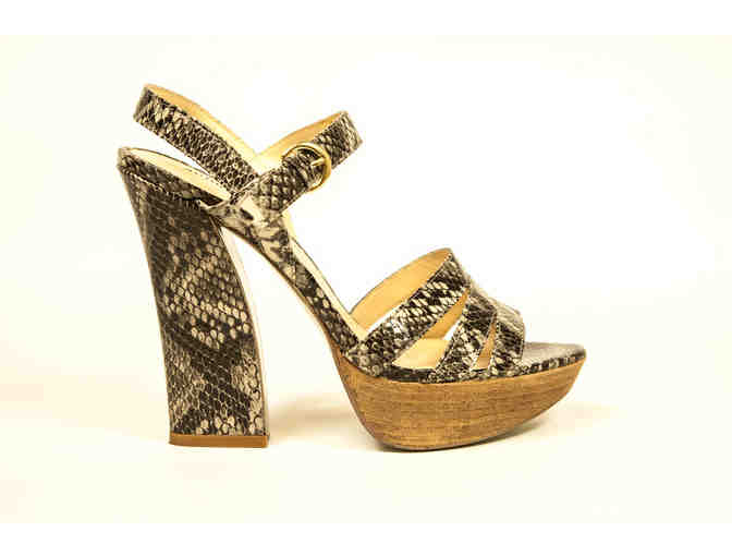 Audrey Brooke Women's Size: 8