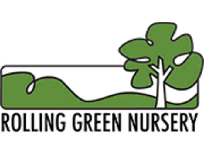 Rolling Green Nursery - $75 Gift Card