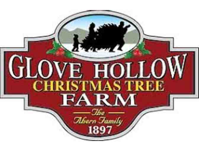 Glove Hollow Christmas Tree Farm - Two $25 Gift Certificates