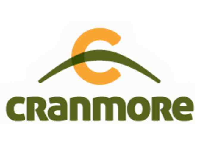 Cranmore Mountain Resort - 2 Adult Lift Tickets
