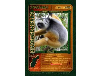 Endangered Species Game Proof Set from ZooCards