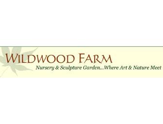 Wildwood Farm Yellowtwig Dogwood Tree plus Garden Consult