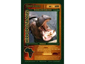 Endangered Species Game Proof Set from ZooCards
