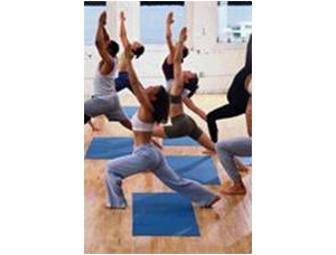 Parkpoint Health Club, Healdsburg: Two Months