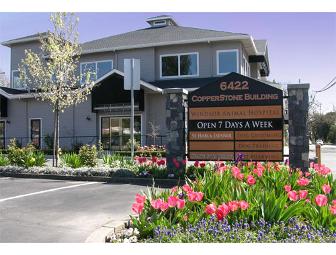 Windsor Animal Hospital Visit & Vaccination