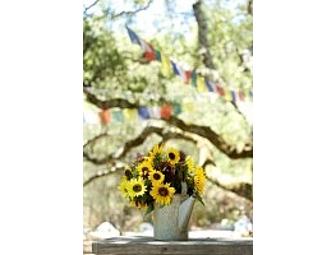 K2B Creative Photography Portrait Session