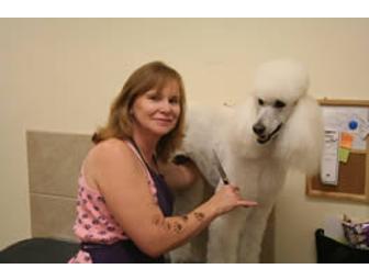 Debbie's Pet Boutique $100 Grooming Certificate