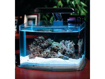 Aquarium Kit