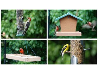 Wild Bird Center $75 Gift Certificate