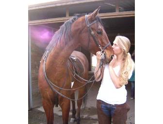 Horse Riding or Driving Lessons