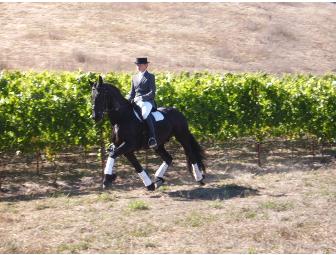 Horse Riding or Driving Lessons