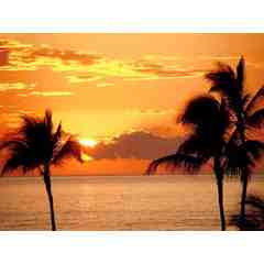 NEW HORIZONS HYPNOTHERAPY