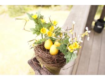 Bird and Nest with Eggs