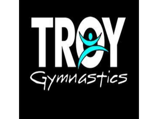 Troy Gymnastics Birthday Party