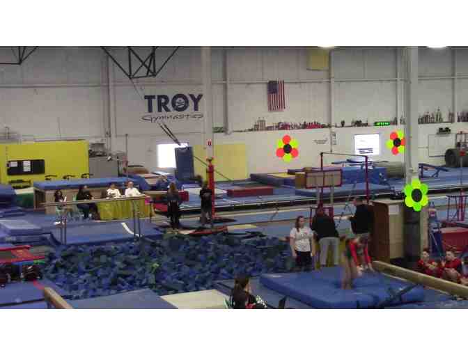 Troy Gymnastics Birthday Party