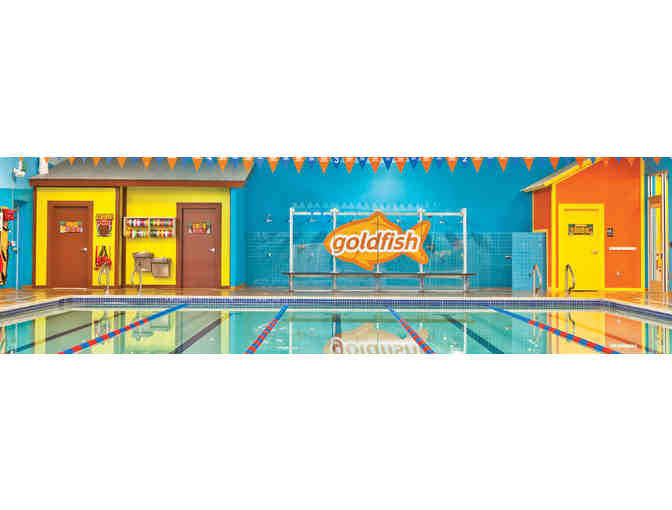 Goldfish Swim School Package