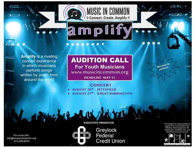 Music in Common - 1 pair of tickets to Amplify - Photo 1