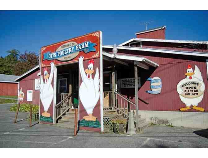 Otis Poultry Farm - Adult 'S'  Otis Hoodie & (1) Travel Cup