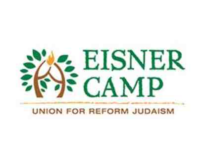 Eisner Camp - 1 Week of Day Camp