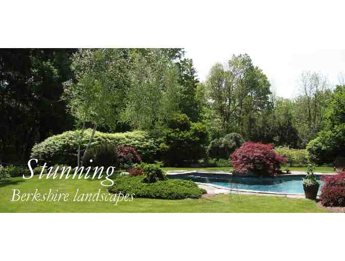 Tomich Landscape Design and Construction - Japanese Red Cutleaf Maple Tree