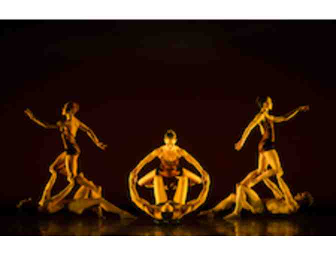 Mahaiwe Performing Arts Center - (2) Tickets to MOMIX: Opus Cactus