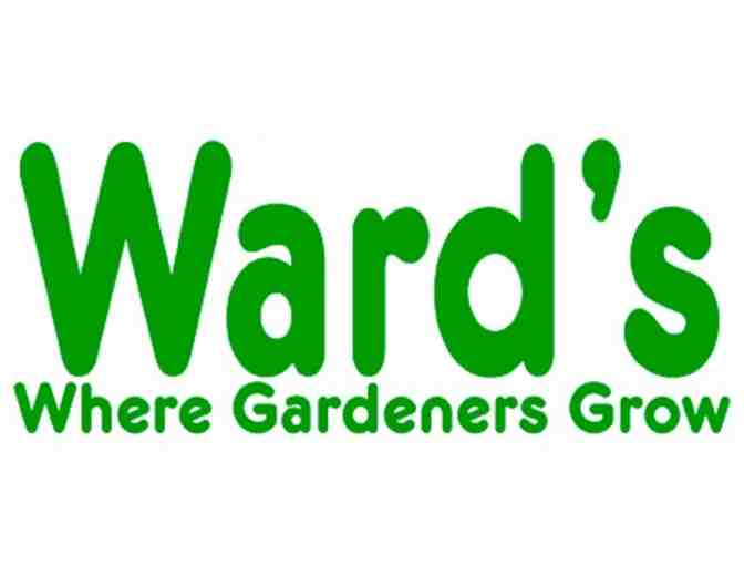 Ward's Nursery & Garden Center - 2 Blueberry Bushes (2 gallon container size)