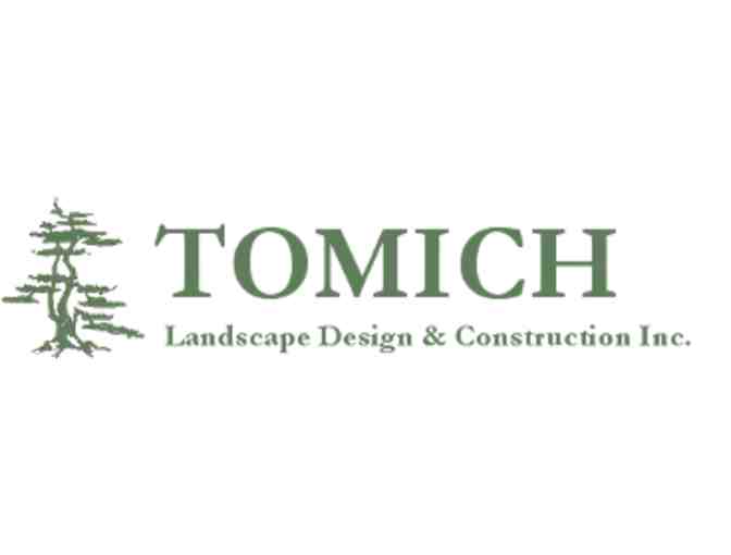 Tomich Landscape Design and Construction - (1) Japanese Red Cutleaf Maple Tree