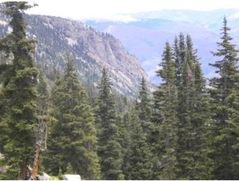 Summer in the Rockies!