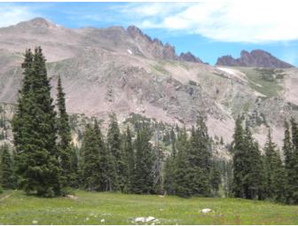Summer in the Rockies!