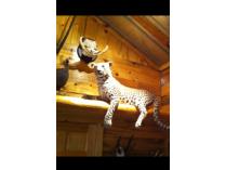 Giuseppe Hunters Delight!