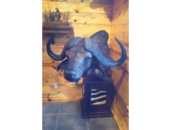 Giuseppe Hunters Delight!