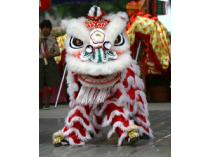 Asian Experience for Eight