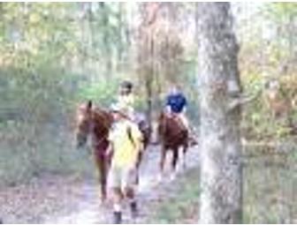 Camp Olympia Tuition for Three Weeks!