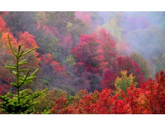 Weekend in Asheville