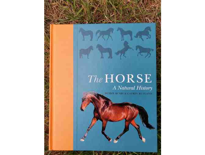 Book Set for Horse Lovers