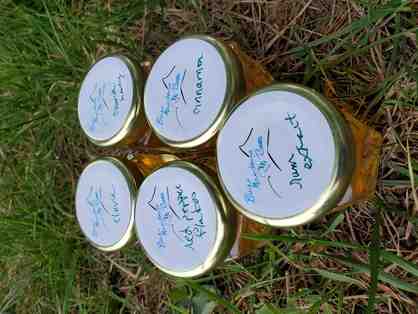 Southlands Bee Honey from Beekeeper Joe Naughton