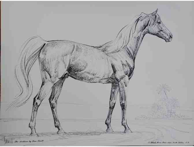Set of 10 Sam Savitt Horse Prints
