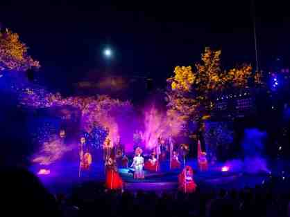 2 tickets to Shakespeare in the Park for Saturday, September 18th performance