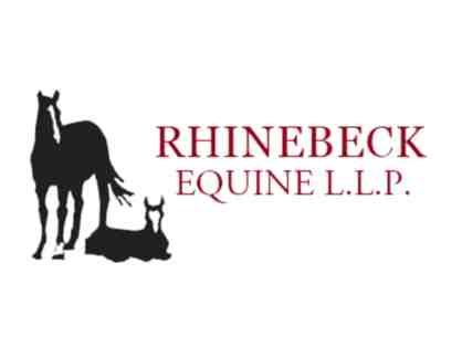 $400 Gastroscopy with Dr. Laura Javsicas