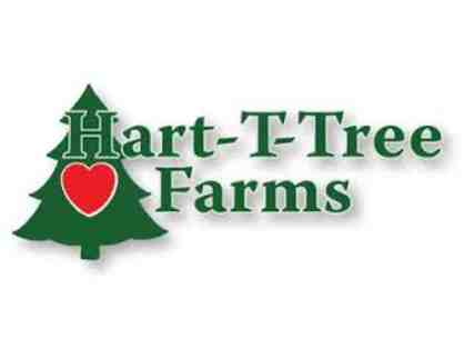 Hart-T-Tree Farms