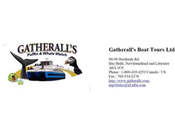 Gatherall's Puffin & Whale Watch - Photo 1